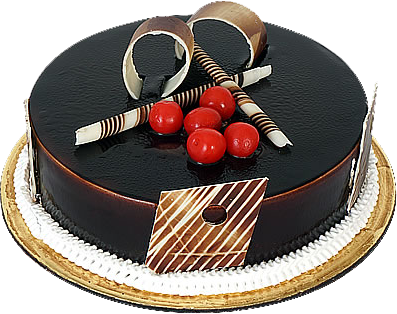 Special Truffle Cake